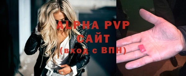 винт Абаза