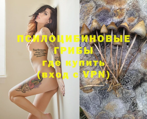 винт Абаза