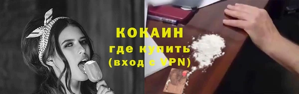 винт Абаза
