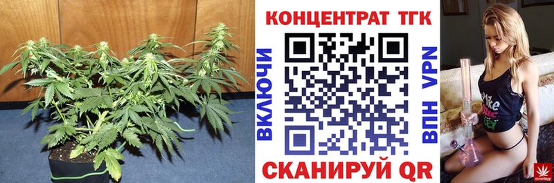 ТГК жижа  Цоци-Юрт 
